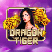 Dragon Tiger at Fair Play App