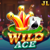 Wild Ace - Fair Play App